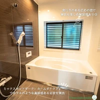 画像245