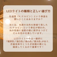 画像303