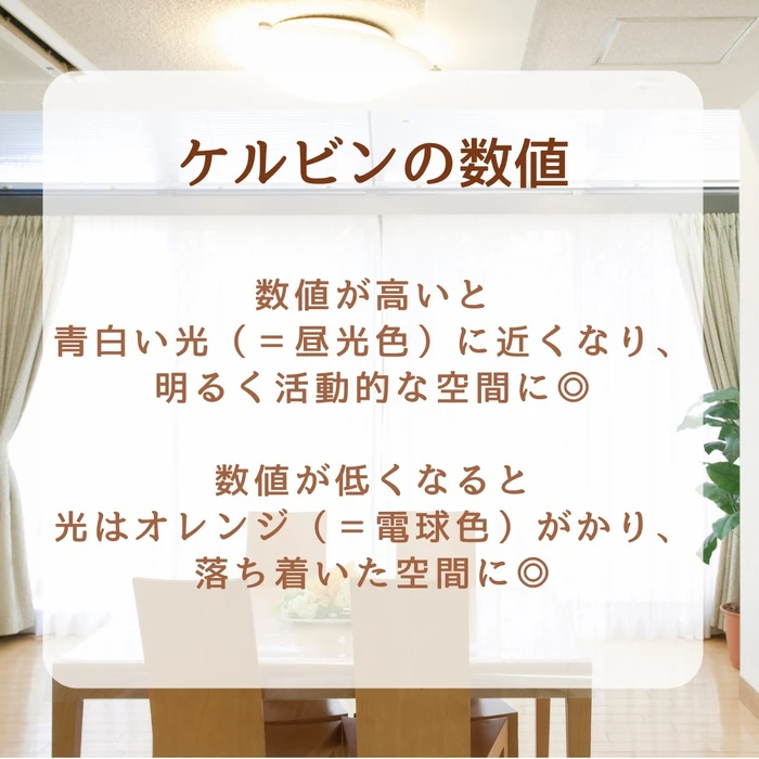 画像304