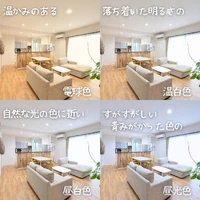 画像305