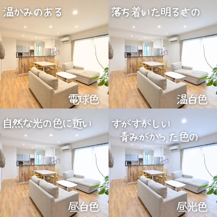 画像305