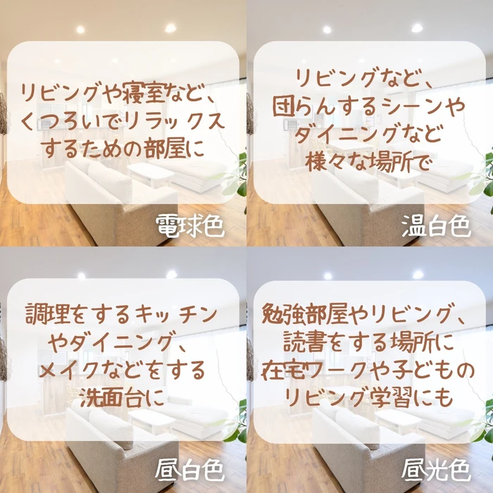 画像306