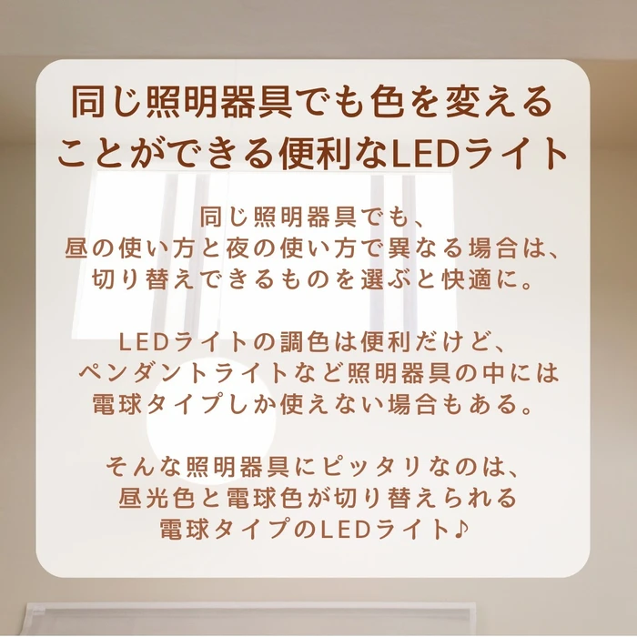 画像307