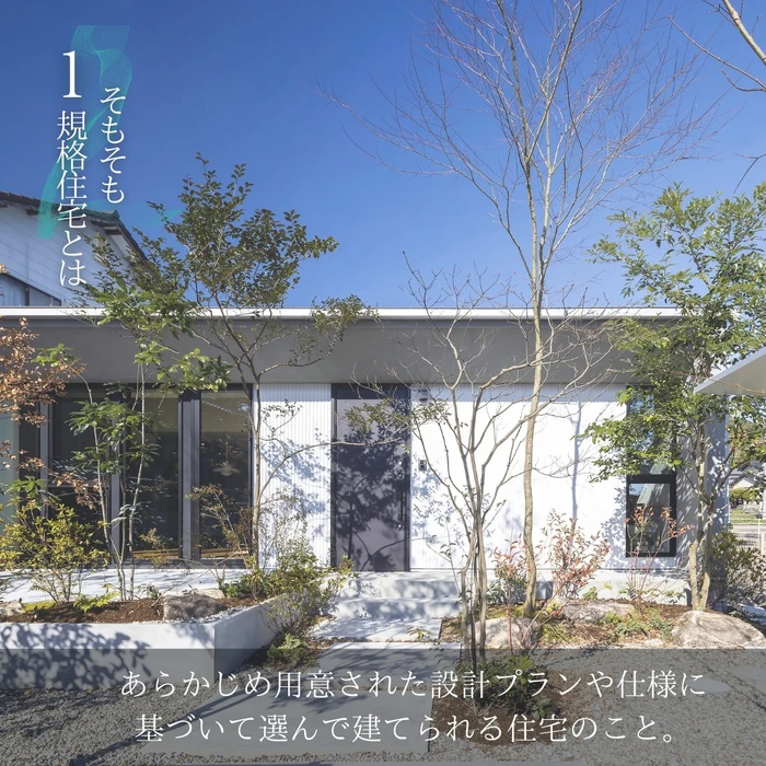 画像311
