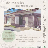画像388
