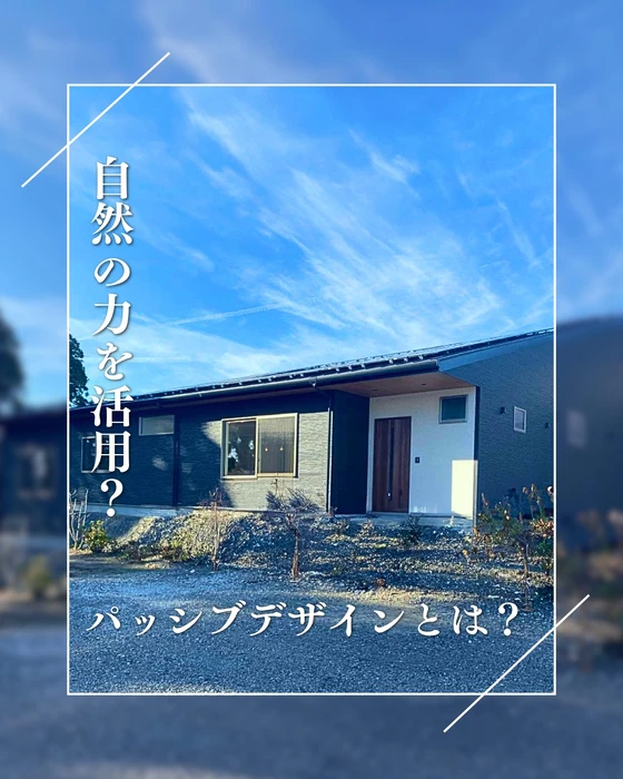 画像495