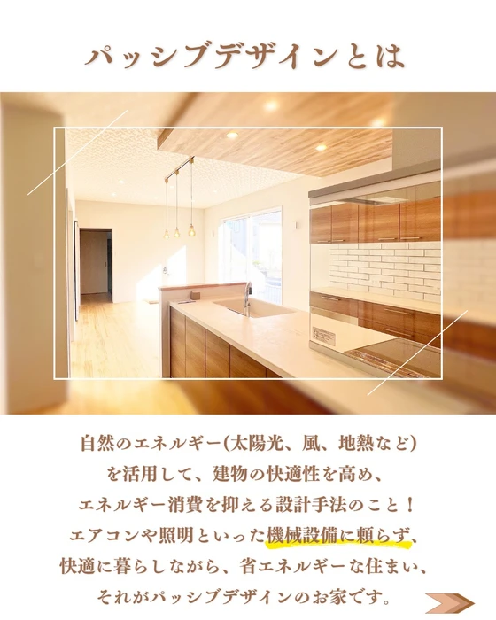 画像496