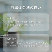 画像800