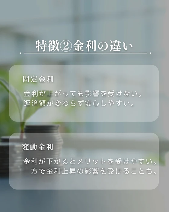 画像800